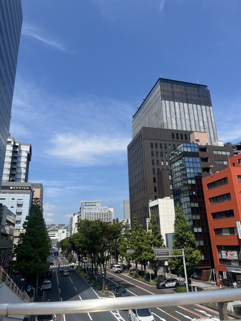 S__46440485-768x1024 日本国際バレエフェスティバル3日目