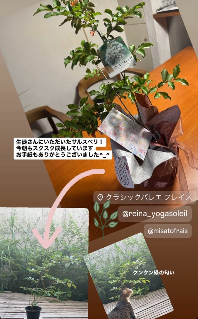 S__26107909_0-636x1024 そう。最近インスタです。