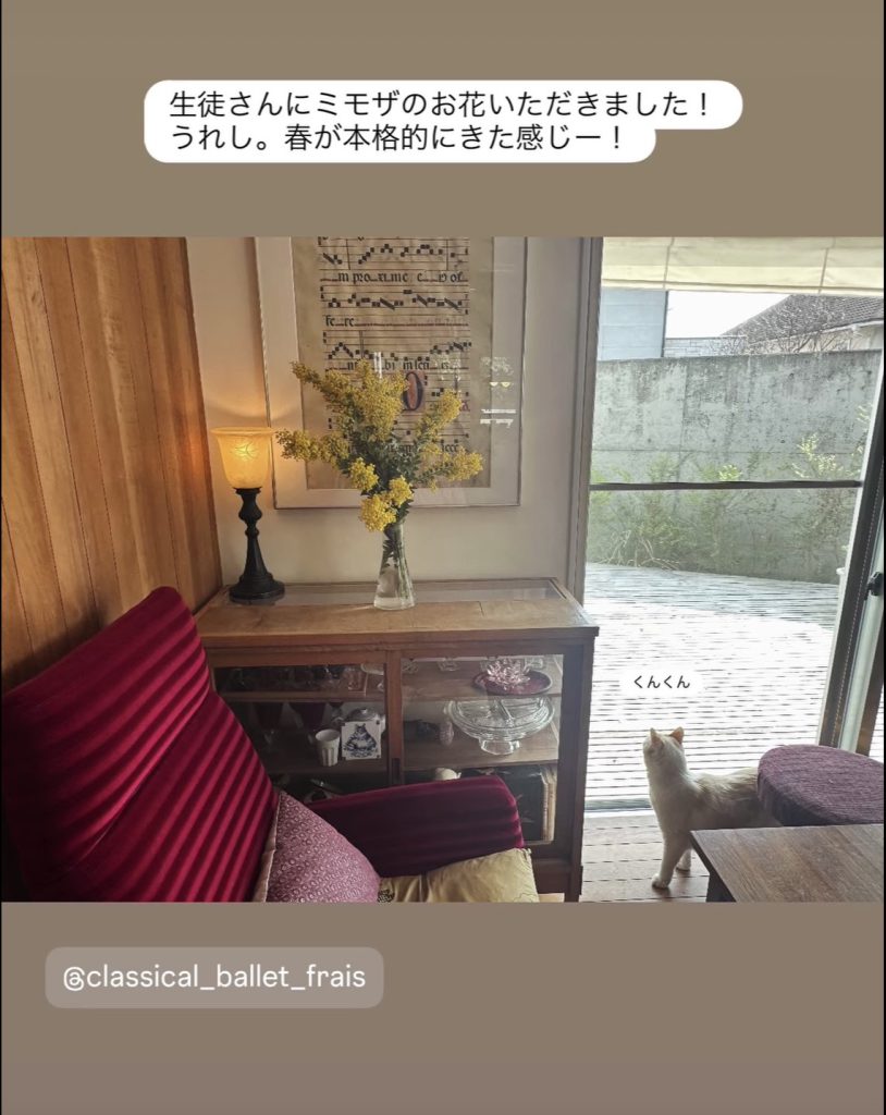 S__33325060_0-814x1024 バレエコンクール終わり・・お休みの週末。