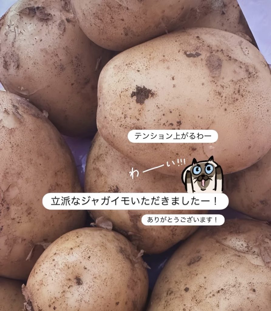 S__33325061_0-893x1024 バレエコンクール終わり・・お休みの週末。